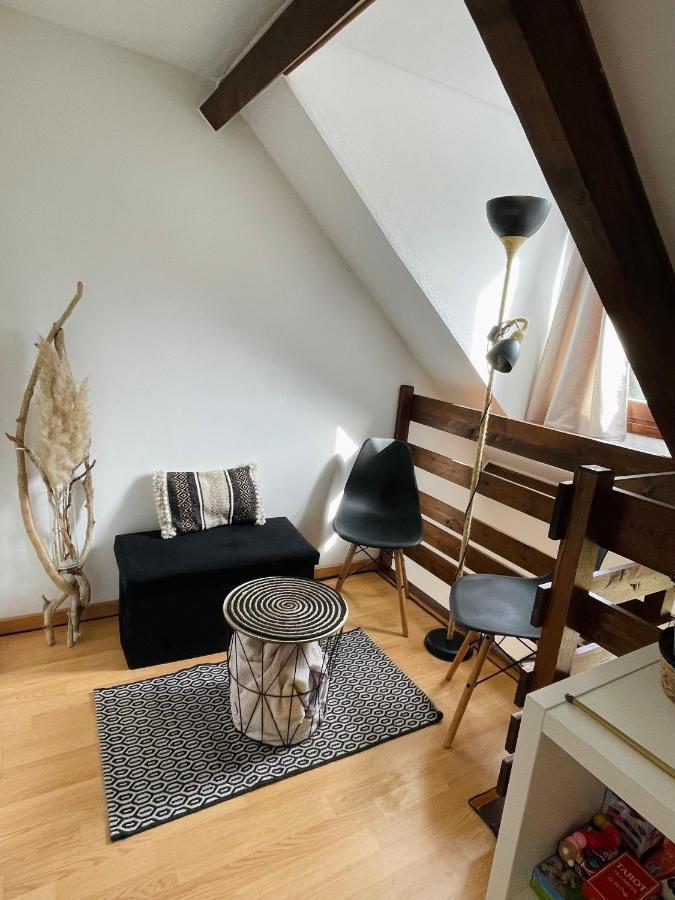 Duplex Du Pailhet, T3 Neuf, Vue Montagne, Parking, Navette Et 2 Velos A Disposition Gratuitement Bagneres-de-Luchon Ngoại thất bức ảnh